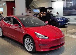 Xe Tesla phát hiện 'người vô hình' ở nghĩa trang