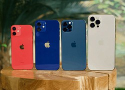 Hé lộ cái tên iPhone của năm 2021, tốc độ và hiệu năng vượt trội hơn iPhone 12, nhưng thiết kế không đổi