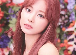 Nữ idol K-pop sở hữu gương mặt được phụ nữ Nhật Bản khao khát nhất