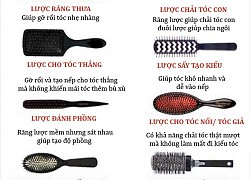 Phân biệt 12 loại lược chải tóc