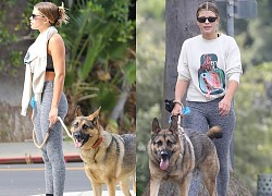 Sofia Richie để mặt mộc dắt thú cưng đi dạo phố sau khi chia tay bạn trai