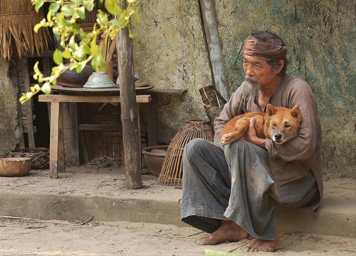 Thất vọng Cậu Vàng