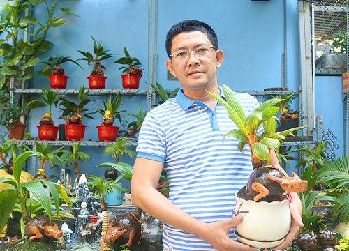 Trend trang trí Tết 2021: Chiêm ngưỡng dàn Bonsai dừa hình trâu có 1-0-2