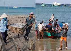 Vựa cá cơm khô trên 'thành phố đảo' Phú Quốc