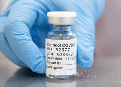 WHO kêu gọi đảm bảo phân phối vaccine ngừa COVID-19 công bằng