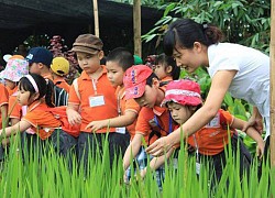 An toàn trên hết!