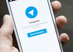 Apple bị kiện vì không xóa Telegram khỏi App Store