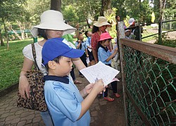 Bất an trải nghiệm, ngoại khóa