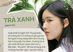 Cả cõi mạng rần rần hóng drama Sơn Tùng vì "trà xanh" nên từ giã mối tình lâu năm, nhưng "trà xanh" là gì mà nguy hiểm thế, không phải là đồ uống ư?