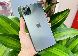 iPhone 11 Pro Max và top 4 iPhone cũ đang giảm tiền triệu dịp cận Tết