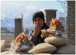 Kinh ngạc kỹ thuật bảo quản trái cây tươi có một không hai ở Afghanistan