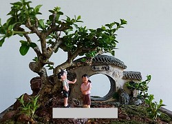 Kỷ lục gia thế giới về bonsai mini thổi hồn vào thiên nhiên