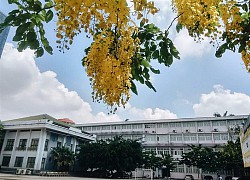 Một trường đại học ở Hà Nội "chơi lớn": Thông báo lịch nghỉ Tết nhưng gây choáng khi lì xì cho sinh viên hẳn 500.000 đồng