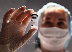 Nga đăng ký vaccine Sputnik V tại EU