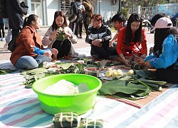 Sinh viên ĐH Thương Mại gói hàng trăm bánh chưng tặng người vô gia cư