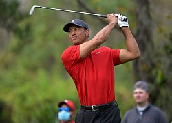 Tiger Woods lại lên bàn mổ