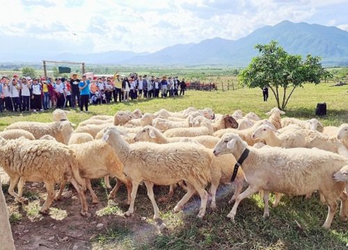 Trường THCS Âu Cơ tổ chức cho học sinh trải nghiệm tại Nông trại The Moshav Farm