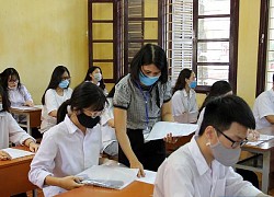 Vắt kiệt sức cho những kỳ thi học sinh giỏi, còn đâu hạnh phúc tuổi thơ?