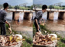 Chàng trai quăng hàng chục con gà xuống suối khiến dân mạng nhao lên tiếc rẻ, hóa ra đó lại là "hậu trường" làm cỗ cưới khó tin