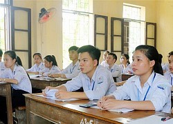 Đa dạng các hoạt động định hướng nghề nghiệp cho học sinh