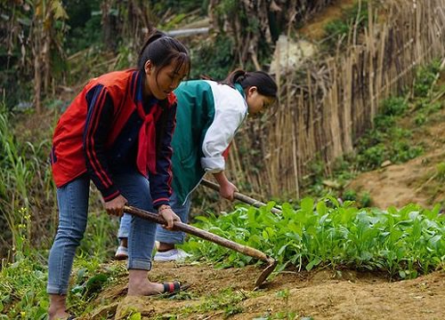 Học sinh vùng cao Thanh Hóa trồng rau, nuôi lợn để cải thiện bữa ăn