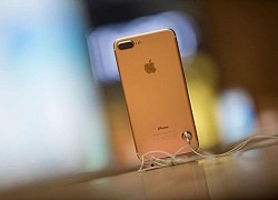 iOS 15 có thể ngưng hỗ trợ iPhone 6S, 6S Plus và SE (2016)