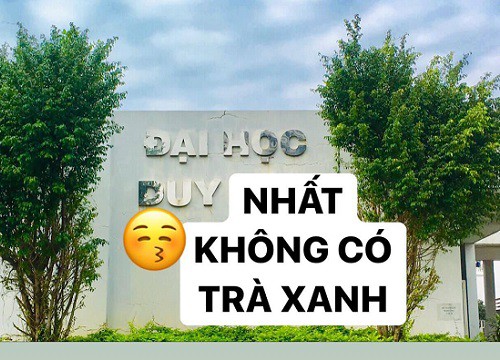 Khi học trò đu trend 'trà xanh': Tinh tế và hài hước chẳng kém ai