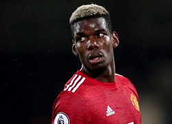 Paul Pogba: Khi cái đầu và đôi chân được giải phóng