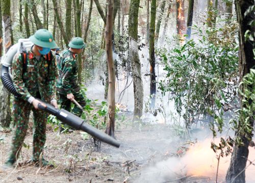 Phòng, chống cháy rừng: Không thể chủ quan