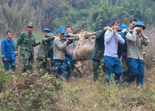 Sơn La hủy nổ quả bom hơn nửa tấn gần Quốc lộ 6