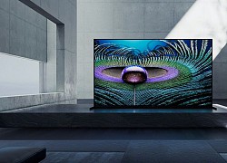 Tương lai của OLED trong năm 2021