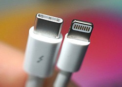 Apple vô tình thừa nhận, loại bỏ cổng Lightning trên iPhone sẽ là thảm họa khủng khiếp thế nào cho môi trường