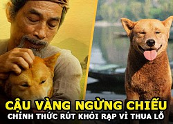 &#8220;Cậu Vàng&#8221; rút khỏi rạp chiếu vì thua lỗ hơn 30 tỷ | Đạo diễn Trần Vũ Thủy đã mắc sai lầm từ đâu?