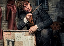 Eddie Redmayne bơi giữa trời đông khi ghi hình