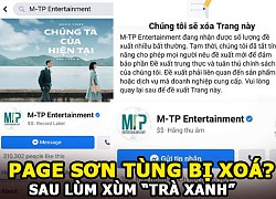 Fanpage 300.000 follower của công ty Sơn Tùng bị xoá giữa drama "trà xanh"?