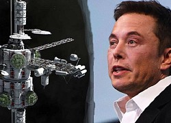 Học gì để "nâng tầm" cho mình và có thể đạt đến thành công như (hoặc gần như) Elon Musk?