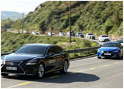 Lexus Signature 2021: Hơn cả một hành trình cùng dàn xe sang