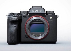 Sony Alpha 1 ra mắt: Một chiếc máy cho tất cả