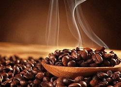 Giá cà phê hôm nay 1/10, Ngắt đà giảm mạnh, vị thế số 1 cà phê robusta của Việt Nam bị lung lay?