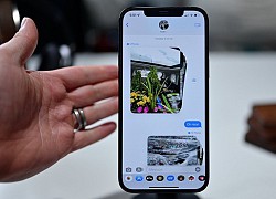 iOS 15 dính lỗi xóa ảnh đã lưu