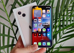 Không phải iPhone 14 Pro Max "siêu to", chiếc iPhone hot nhất năm sau của Apple sẽ là phiên bản giá rẻ này!