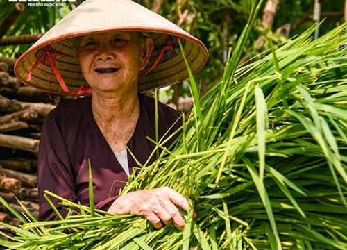 Làng cốm Mễ Trì, Hà Nội đỏ lửa, rộn vang tiếng chày sau thời gian giãn cách