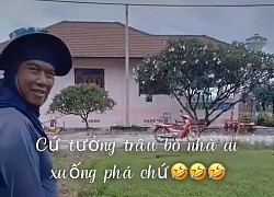 Người nông dân vất vả trồng lúa lại bị phá nát nhưng nhìn "thủ phạm" ai cũng đổi thái độ