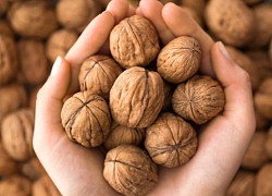 6 công dụng làm đẹp tuyệt vời cho làn da từ quả óc chó mà ít người biết đến