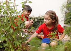 Cách giúp trẻ phát triển toàn diện