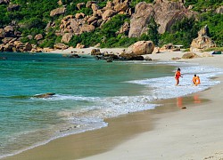 Đến Bình Hưng xem đá trứng to như trứng khủng long