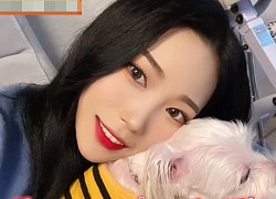 Gái xinh gây sốc khi tiết lộ bị ám ảnh ngoại hình: Mỗi ngày trang điểm từ 5h sáng, giảm cân bằng cách nôn ói