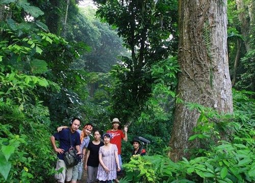 Ghé thăm Rừng Đại tướng Võ Nguyên Giáp tại Sơn La