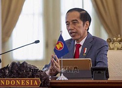 Indonesia nhấn mạnh về hợp tác y tế trong quan hệ ASEAN - Ấn Độ