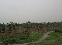 Kiến nghị thu hồi đất quy hoạch công viên hoang dã ở Ninh Bình